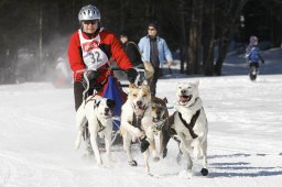 Kandersteg 2010