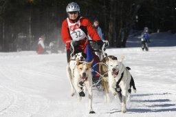 Kandersteg 2010