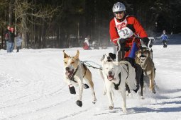 Kandersteg 2010