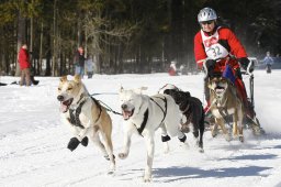 Kandersteg 2010