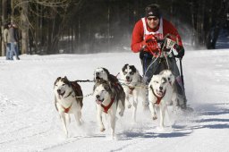 Kandersteg 2010