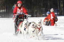 Kandersteg 2010