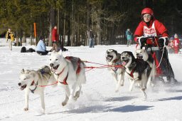 Kandersteg 2010