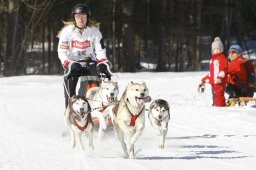 Kandersteg 2010