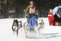 Kandersteg 2010