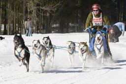 Kandersteg 2010