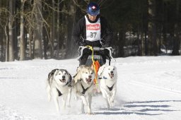 Kandersteg 2010