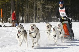 Kandersteg 2010