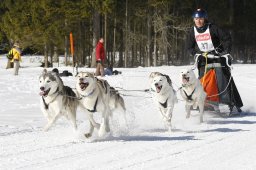 Kandersteg 2010