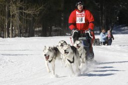 Kandersteg 2010