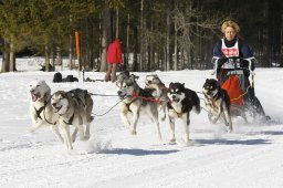 Kandersteg 2010