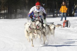 Kandersteg 2010