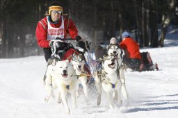 Kandersteg 2010