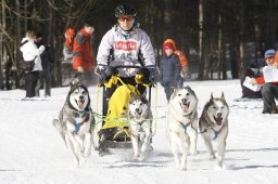 Kandersteg 2010