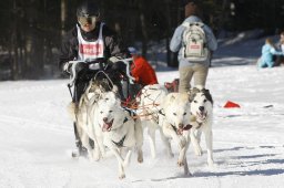 Kandersteg 2010