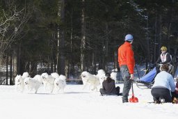 Kandersteg 2010