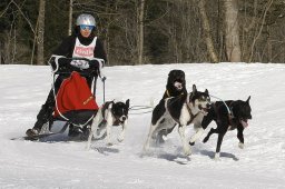 Kandersteg 2010