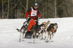 Kandersteg 2010