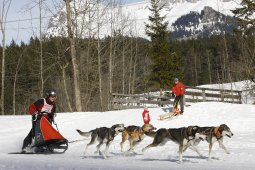 Kandersteg 2010