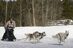 Kandersteg 2010