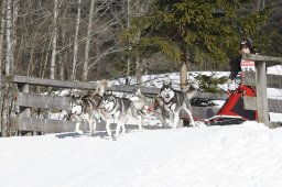 Kandersteg 2010