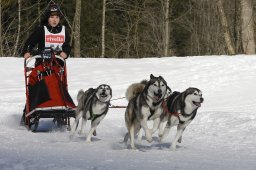 Kandersteg 2010