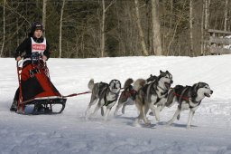 Kandersteg 2010