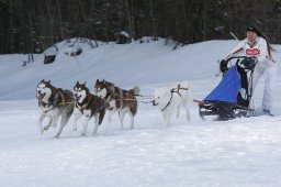 Kandersteg 2010