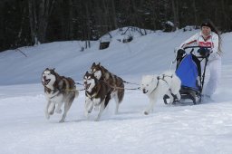 Kandersteg 2010