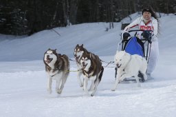 Kandersteg 2010