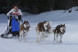 Kandersteg 2010