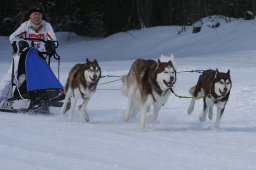 Kandersteg 2010