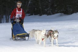 Kandersteg 2010