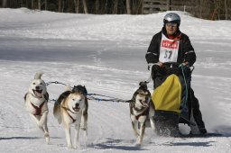 Kandersteg 2010