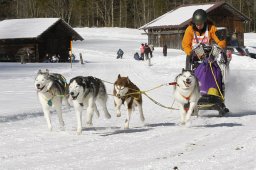 Kandersteg 2010