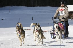 Kandersteg 2010