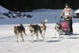 Kandersteg 2010