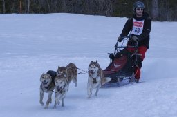 Kandersteg 2010