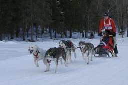 Kandersteg 2010