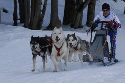 Kandersteg 2010