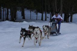 Kandersteg 2010