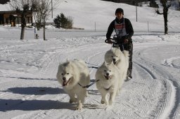 Kandersteg 2010