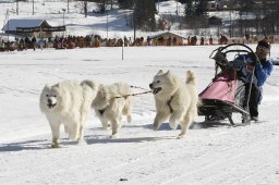 Kandersteg 2010