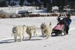 Kandersteg 2010