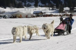 Kandersteg 2010