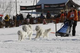 Kandersteg 2010