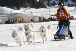 Kandersteg 2010