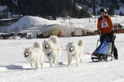 Kandersteg 2010