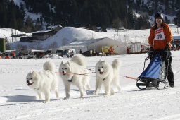 Kandersteg 2010