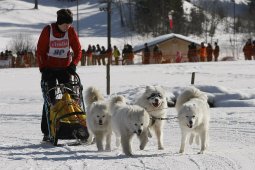 Kandersteg 2010